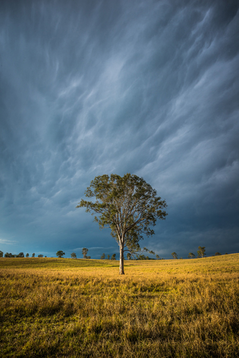 Outback_Storm_Esk.jpg