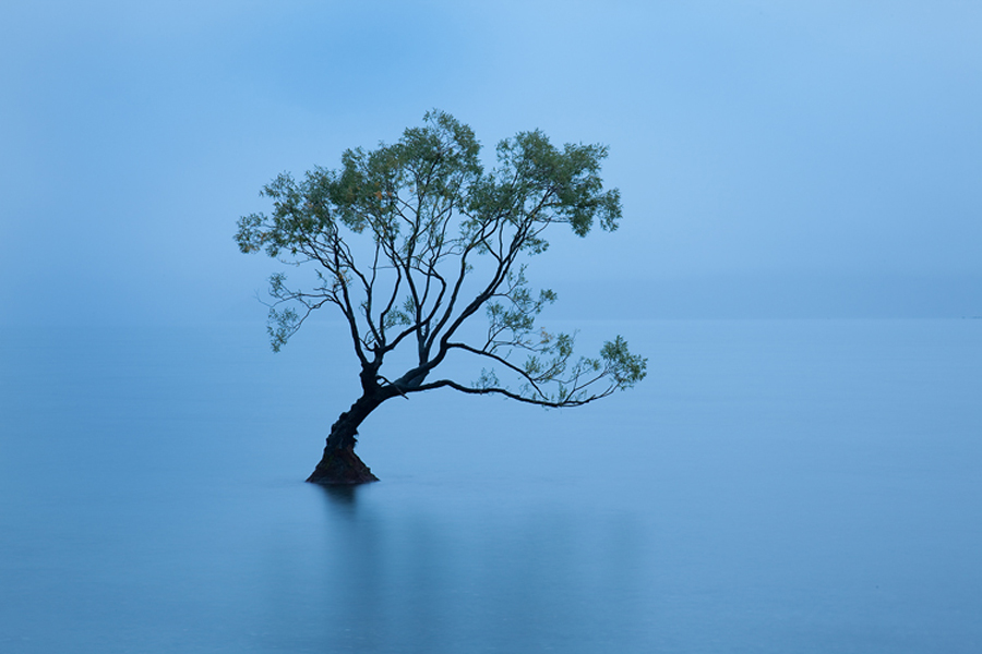 Wanaka500.jpg